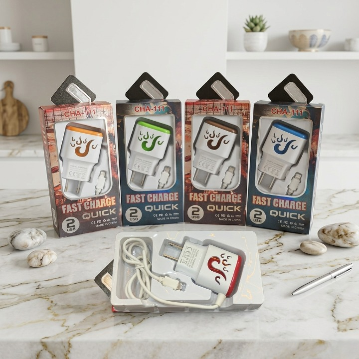 Dual USB Fast Charger Adapter